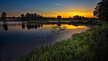 Nature, Sunset, Sky, Lake, Branches, Calmness, Tranquillity, Driftwood HD wallpaper