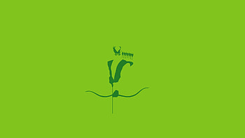 Green Arrow comics, Green Arrow minimalism, superheroes HD wallpaper