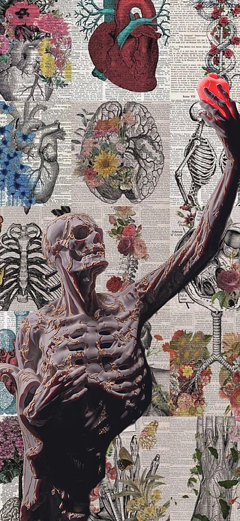 Anatomia, Ciencias, Filosofia, Cuerpo, Arte HD phone wallpaper