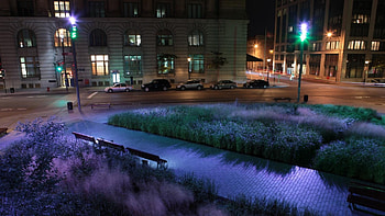colorful light at city park at night, city, lights, streets, colors, park HD wallpaper