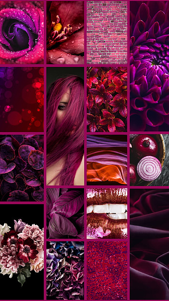 Red Purple Collage, onion HD phone wallpaper