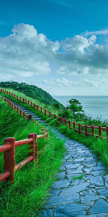 Green way, sky, rainy, blue, nature, dark, clouds, colorful HD phone wallpaper