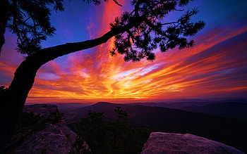 Sunrise at McAfee’s Knob in the Appalachian mountains, Virginia, landscape, clouds, colors, sky, usa, tree HD wallpaper