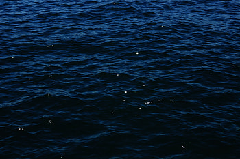 Nature, Water, Sea, Surface HD wallpaper