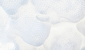 Bubbles, Macro, Texture, Convex, Convexity HD wallpaper
