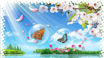 Butterfly Bubbles HD wallpaper