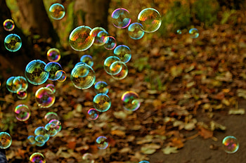 Bubbles, circles, round, fun, chemicals, nature, clear HD wallpaper