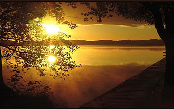 Dusk, trees, sky, sun, sunset HD wallpaper