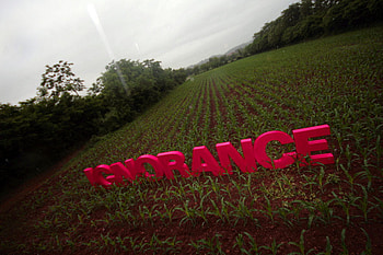 Ignorance, other, trees, grass, people HD wallpaper
