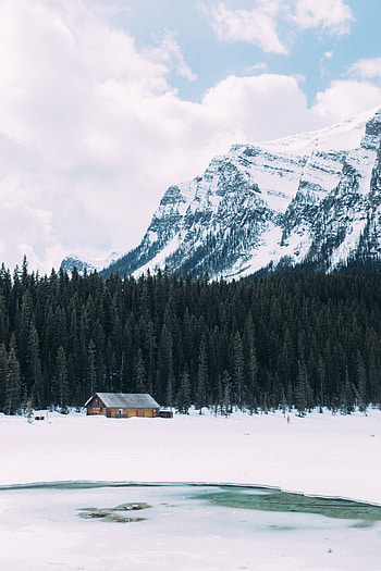 Winter, Nature, Trees, Snow, Mountain, Lake, House HD phone wallpaper
