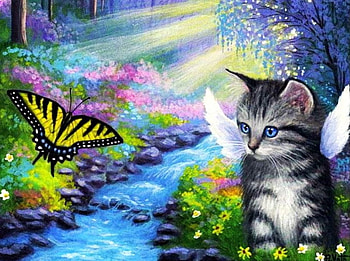 Angel Kitty, artwork, wings, creek, painting, butterfly, cat, flowers HD wallpaper