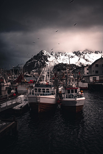 Birds, Mountains, Boats, Pier, Miscellanea, Miscellaneous, Snow Covered, Snowbound, Wharf HD phone wallpaper