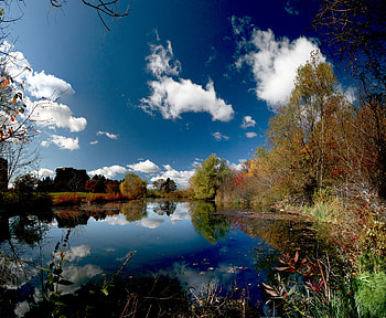 Reflections, autumn, nature, lake HD wallpaper