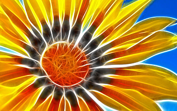 Abstract, Flower, Plant, Lines HD wallpaper