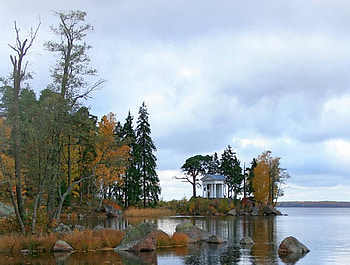 Trees in Lake, trees, cool, , lake HD wallpaper