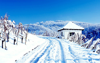 Snowy Cottage, nature, snow HD wallpaper