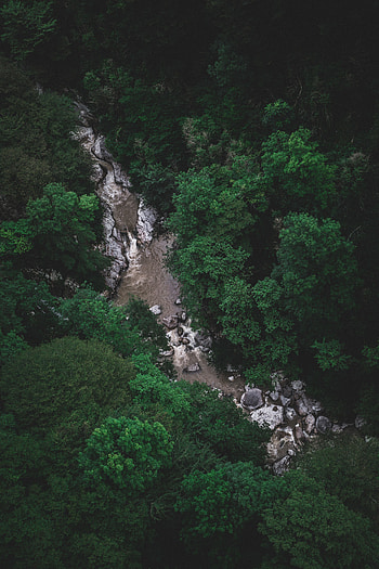 Nature, Rivers, Trees, Stones, View From Above, Flow HD phone wallpaper