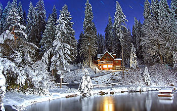Winter Night, night, winter, house, lake, light, snow, trees, nature, sky, forest HD wallpaper