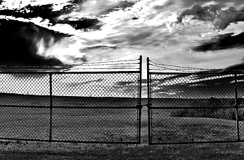 Secret Oasis, barbed wire, sky, fence, black and white HD wallpaper