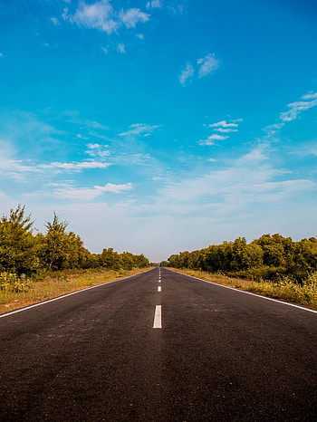 Nature, Sky, Bush, Road, Markup, Dahl, Distance HD phone wallpaper