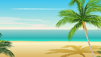 Palm Tree, Palm tree screensaver, Tropical paradise vibes, Relaxation and serenity HD wallpaper