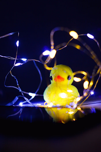 Shine, Light, Miscellanea, Miscellaneous, Toy, Duck, Garland HD phone wallpaper