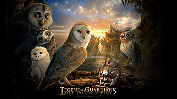 Legend of the Guardians: The Owls of Ga'Hoole, Eye-catching , Epic adventure, Majestic owls HD wallpaper