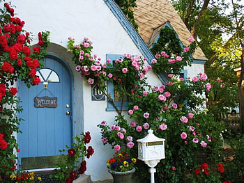 stay awhile, pink, stay, roses, awhile, house, red, flowers, enjoy HD wallpaper