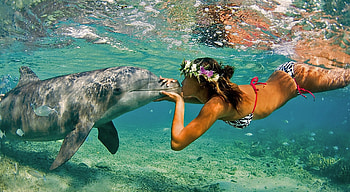 Tropical Destination, sweet, sea, tropics, girl, dolphin, beauty, reflection, kisses, fish, bubbles, ocean HD wallpaper