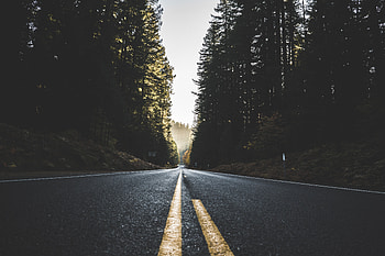 Nature, Trees, Sky, Road, Markup HD wallpaper