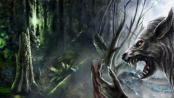 Werewolf fantasy art dark monster creatures blood fangs trees forest spooky creepy scary evil | HD wallpaper