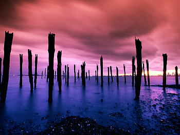 The Old Dock, massachusetts, boston, dock, harbor, ocean HD wallpaper
