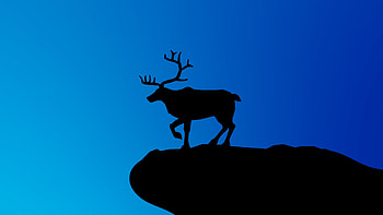 Deer On Top Of Rock Mountain Blue Sky Background Minimalism Minimalism HD wallpaper