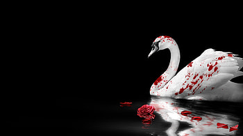 Vampire: The Masquerade - Swansong, Primogen edition, Exclusive game edition, Special features HD wallpaper
