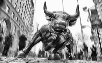 New York City Bulls Wall Street Cities HD wallpaper