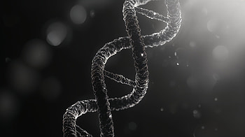 Stunning DNA Structure: Double Helix in Ultra, DNA Structure, double helix, genetics, biology HD wallpaper