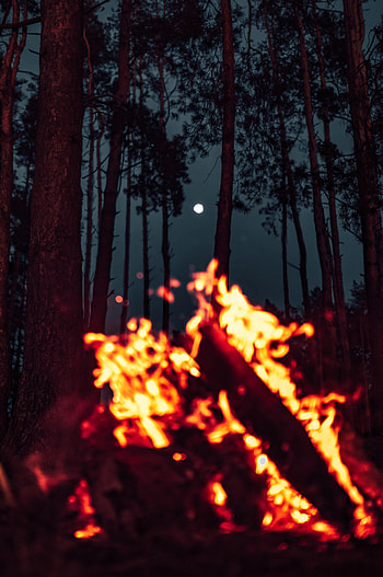 Nature, Bonfire, Moon, Sparks, Forest HD phone wallpaper