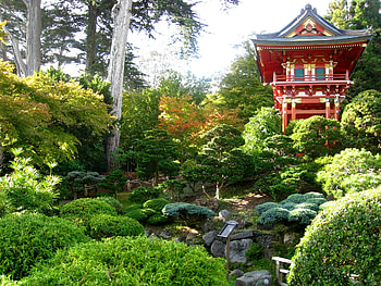 Nature, Vegetation, China, Bower, Alcove, Arboretum HD wallpaper