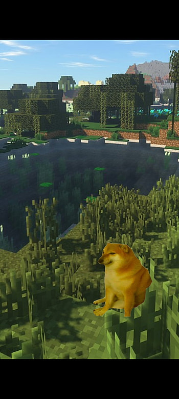 Minecraft Doge HD phone wallpaper