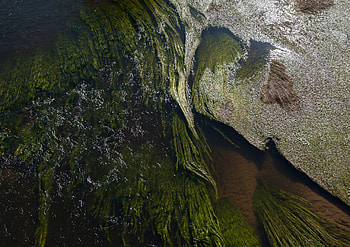 Nature, Water, Waves, Glare, Wavy, Seaweed, Algae HD wallpaper