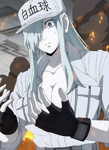 Hataraku saibou black, Intense episode, Anime discussion, Thrilling storyline HD phone wallpaper