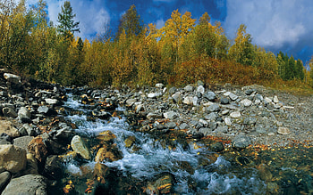 Nature, Rivers, Stones, Summer HD wallpaper