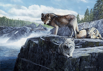 Wolfpack, artwork, winter, wolves, snow, clouds, trees, sky, rocks, painting HD wallpaper