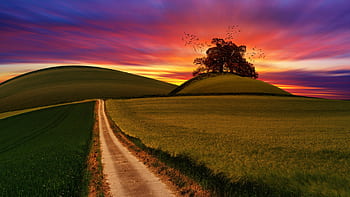 An enchanting countryside view with fields and a pathway under a vibrant sunset sky. HD wallpaper