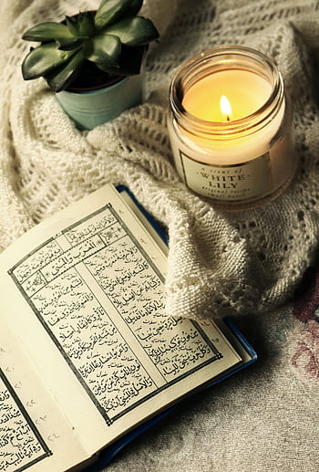 An inviting scene featuring an open Quran, a burning candle, and a houseplant on a cozy fabric. HD phone wallpaper