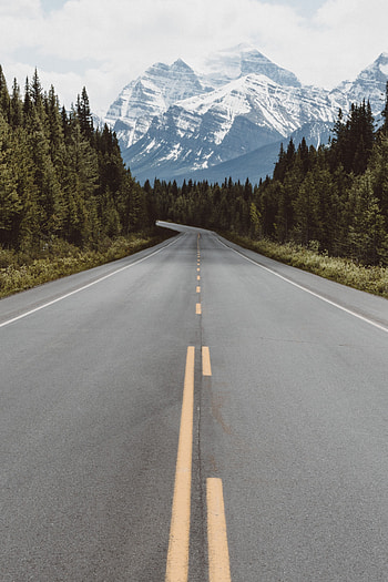 Nature, Trees, Mountains, Road, Markup HD phone wallpaper