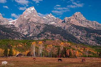 Grand Teton National Park, Wyoming, Natural beauty, Outdoor adventure HD wallpaper