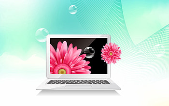 Flowers, Bubbles, Vector, Grid, , Notebook, Laptop HD wallpaper