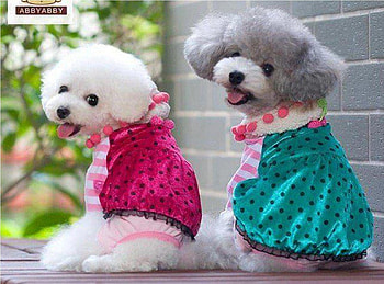 Cute To Cuddle, dogs, cool, cute, nice HD wallpaper