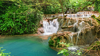 Krushuna Waterfall, Bulgaria, trees, cascades, river, rocks, pond HD wallpaper